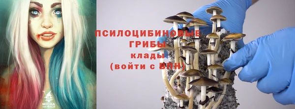 Альфа ПВП Арсеньев