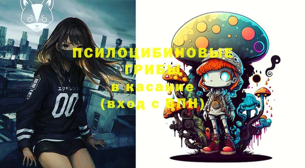 Альфа ПВП Арсеньев