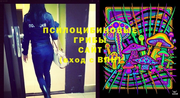 Альфа ПВП Арсеньев